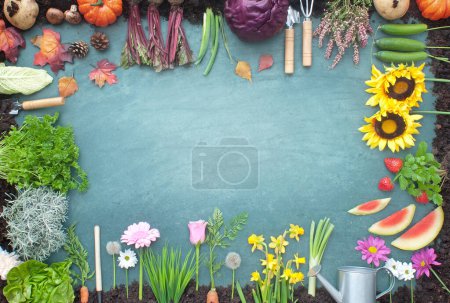 Foto de Concepto orgánico de cosecha de cuatro estaciones en una pizarra, con frutas y verduras creciendo en compost - Imagen libre de derechos
