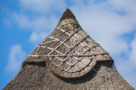 Close-up detail of a thatched roof.