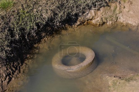 An old tyre which has been dumped in the water of the Thames Estuary in England.