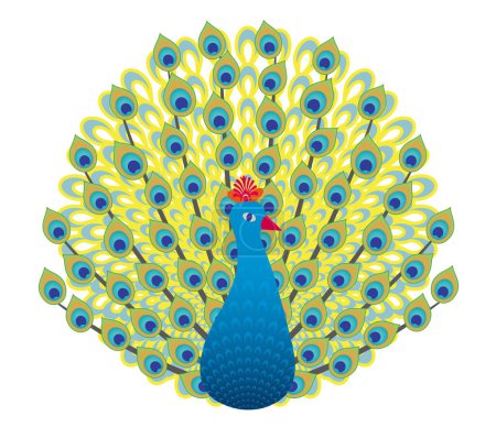 Ilustración de Diseño colorido de Rangoli de pavo real aislado sobre un fondo blanco. - Imagen libre de derechos