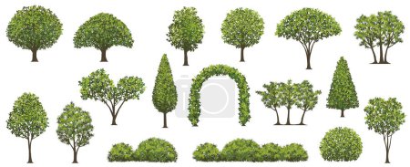 Trees And Shrubs Vector Illustration Set Isolated On A White Background. 