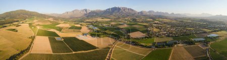 Photo for Scenic photo over vineyards in the Western Cape of South Africa, showcasing the huge wine industry of the country - Royalty Free Image