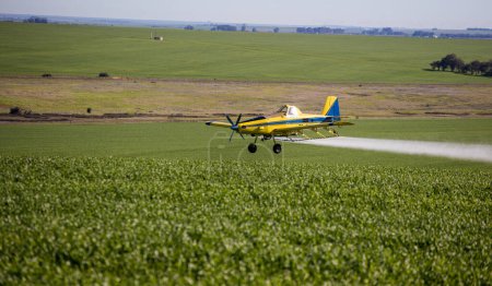 Téléchargez les photos : Image rapprochée d'un avion pulvérisateur pulvérisant des cultures céréalières sur un champ d'une ferme - en image libre de droit