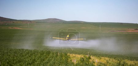 Nahaufnahme eines Flugzeugs, das Getreide auf einem Feld auf einem Bauernhof versprüht