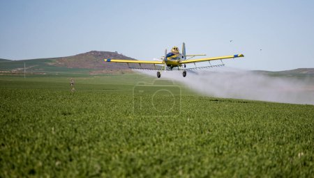 Image rapprochée d'un avion pulvérisateur pulvérisant des cultures céréalières sur un champ d'une ferme