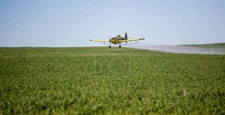 Foto de Vista de cerca de la imagen del avión de fumigación de cultivos de grano en un campo en una granja - Imagen libre de derechos