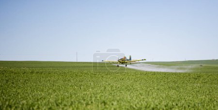 Image rapprochée d'un avion pulvérisateur pulvérisant des cultures céréalières sur un champ d'une ferme