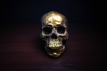 Foto de Cráneo humano vista oro tabla de madera fondo oscuro - Imagen libre de derechos