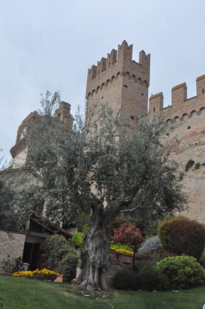 Téléchargez les photos : Castello di Gradara château à Gradara, Italie - en image libre de droit