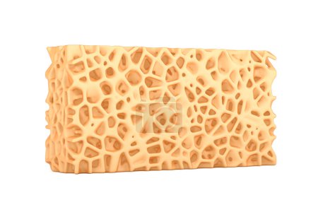 Photo for Sponge Bone Structure Medical Texture Block extreme closeup. 3d Rendering - Royalty Free Image