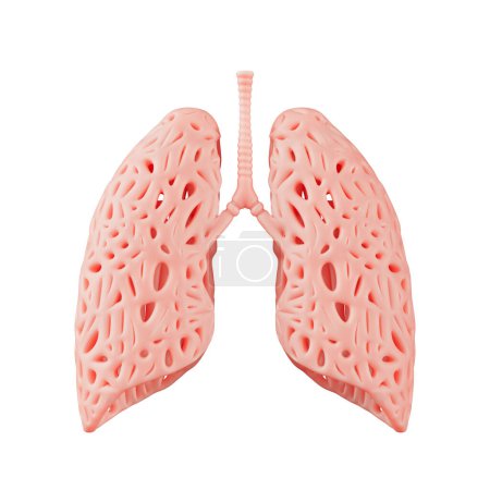 Téléchargez les photos : Résumé Modèle d'organe pulmonaire sur fond blanc. Rendu 3d - en image libre de droit