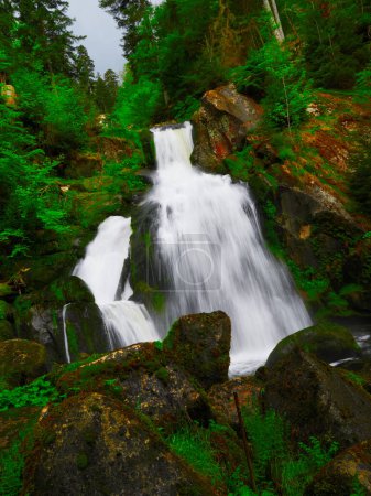 Téléchargez les photos : Cascades de Triberg, Allemagne - Forêt Noire - en image libre de droit
