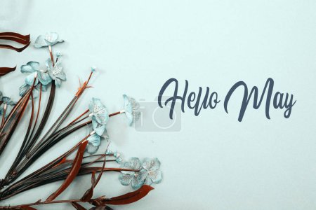 Hello May hand lettering card. Spring flowers on blue background