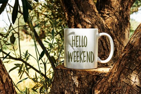 white cup of coffee with hello weekend text on Tree trunk wood Podium through olives tree-stock-photo