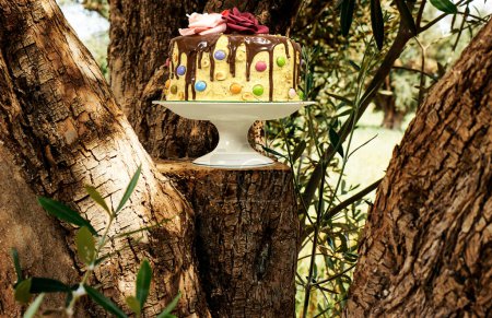 Foto de Pastel de capa de cumpleaños decorado con trozos de chocolate con texto de feliz cumpleaños en el tronco de olivo - Imagen libre de derechos