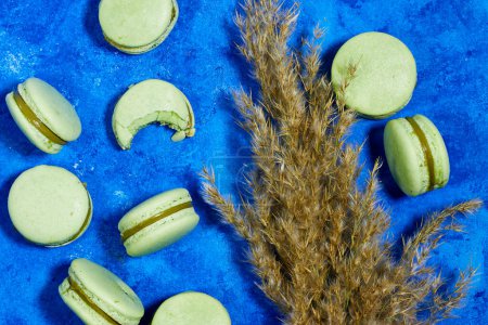 Photo for French pistachio macarons and reeds plant on blue background with copy space - Royalty Free Image