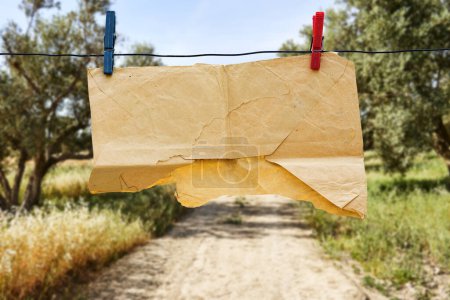 hanging Torn envelope paper near olives field background