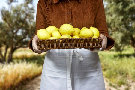 Frau hält Halfah-Korb voller Zitronen, Gartenkonzept, Limonadenwerbung