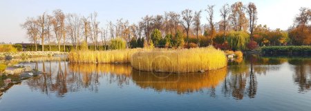 Photo for Beautiful panorama of ponds in Mezhigorye Kyiv region Novi Petrivtsi trees and water - Royalty Free Image