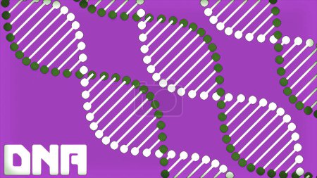 Téléchargez les photos : Fond violet et vert avec schéma ADN. Design. Un fond lumineux avec des molécules d'ADN qui tournent dans l'abstraction informatique. Images 4k de haute qualité - en image libre de droit