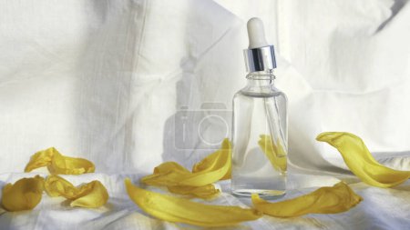 Primer plano de botella de vidrio transparente de aceite cosmético rodeado de pétalos de tulipán amarillo sobre fondo blanco. Cosmetología y belleza, mano de mujer quitando un frasco pequeño.