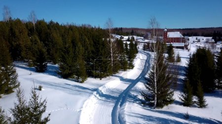 Sunny day in winter forest. Clip. Aerial view of a long road on snow covered ground among green trees