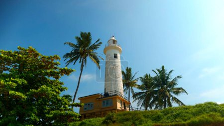 A lighthouse in the middle of a tropical jungle. Action. Green vegetation at summer resort