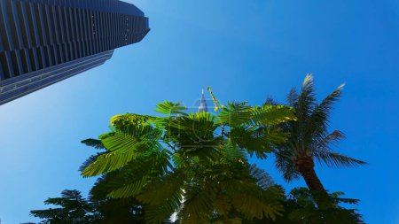 Ground angle of blue sky with tall buildings around. Action. Giant skyscrapers and summer nature