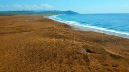 Luftaufnahmen von herbstlichem gelbem Gras und der blauen Meeresküste. Clip. Welkes Feld, wolkenverhangener Himmel über und welliges Ufer