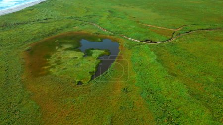 Small pond on green agricultural field in spring. Clip. Aerial of green meadow and tiny lake