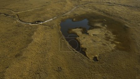 Idyllische Landschaft mit winzigem See in ausgetrocknetem gelben Feld. Clip. Herbsttal und Meeresufer