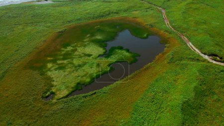 Kleiner Teich auf grünem Acker im Frühjahr. Clip. Antenne von grünen Wiesen und winzigem See