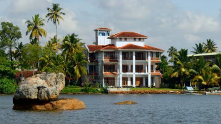 The view of mansion on the shore with palm trees. Action. Living at the sea shore with green vegetation