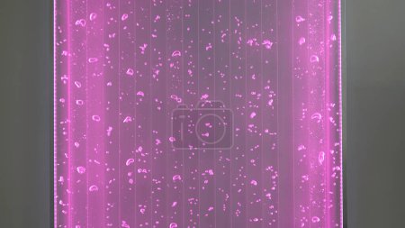 Lámpara luminosa con agua y burbujas. Clip. Decoración de pared fascinante con lámpara brillante y burbujas. Burbujas de agua en movimiento en lámpara de neón en la pared.