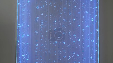 Lámpara luminosa con agua y burbujas. Clip. Decoración de pared fascinante con lámpara brillante y burbujas. Burbujas de agua en movimiento en lámpara de neón en la pared.