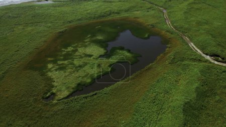Kleiner Teich auf grünem Acker im Frühjahr. Clip. Antenne von grünen Wiesen und winzigem See