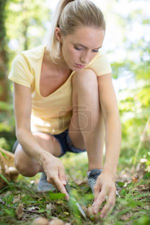 Frau sammelt Pilze im Wald