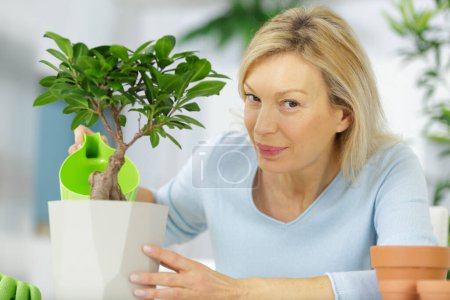 happy mature woman with a bonsai