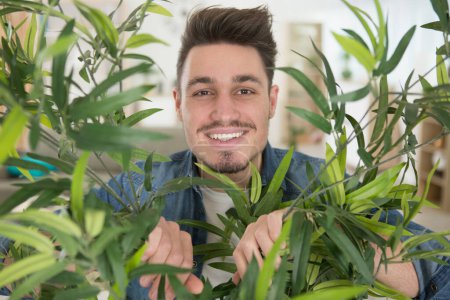 man looking through a bushy houseplant