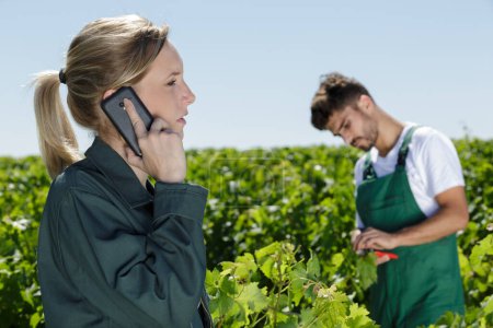 female vintner talking on smartphone in vineyard
