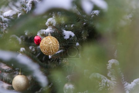 Photo for Outdoor Christmas tree covered with snow decorated with Christmas bublle ornaments. Holidays and winter concept. - Royalty Free Image