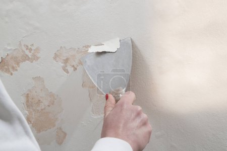 Saltpeter on the wall problem. Woman is using a scraper to scrape and remove all loose paint and plaster that is in poor condition, until a firm surface is achieved.