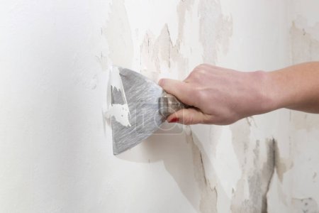 Saltpeter on the wall problem. Woman is using a scraper to scrape and remove all loose paint and plaster that is in poor condition, until a firm surface is achieved.