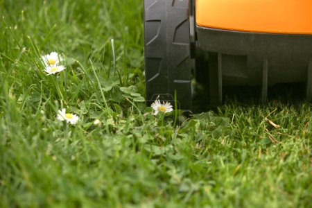 Foto de Cortacésped naranja en la hierba verde primavera en el patio - Imagen libre de derechos