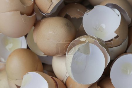 Stapel zerbrochener und trockener Eierschalen