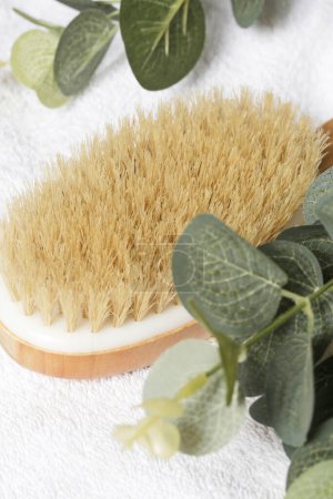 Dry skin wooden body brush for anti cellulite and lymphatic drainage massage