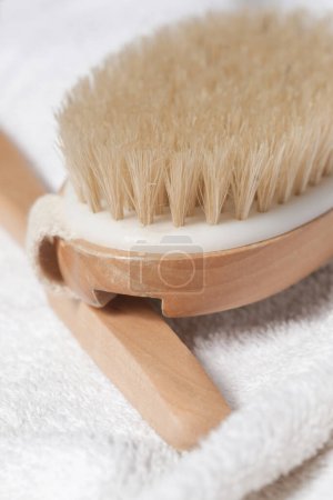 Photo for Dry skin wooden body brush for anti cellulite and lymphatic drainage massage - Royalty Free Image