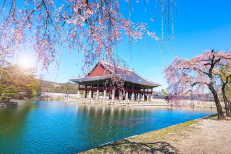 Foto de Gyeongbokgung palacio con árbol de flor de cerezo en primavera en la ciudad de Seúl de Corea, Corea del Sur
. - Imagen libre de derechos