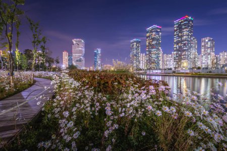 Téléchargez les photos : Fleurs blanches et belle vue de nuit à Songdo Central Park dans le district de Songdo, Incheon Corée du Sud. - en image libre de droit