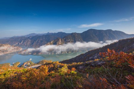 Photo for Autumn in Korea, Pine trees towering on the rocks atop Jebibong. In the morning, a sea of mist flows through the river in the valley In the autumn of Waraksan Mountain National Park, South Korea. - Royalty Free Image